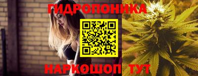 прущие крисы Бузулук