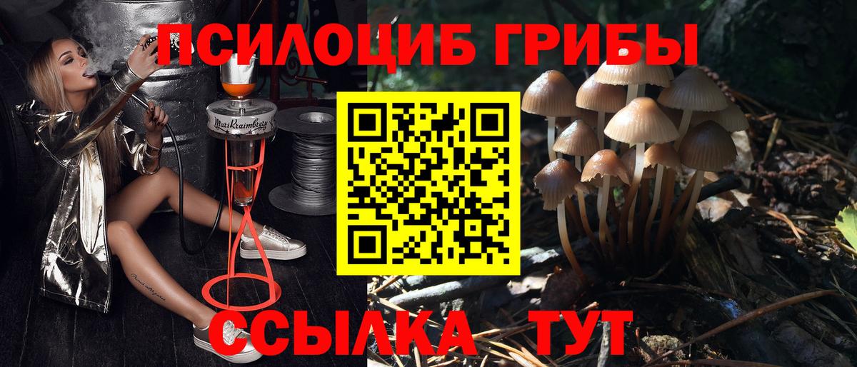 Шатура  Галлюциногенные грибы MAGIC MUSHROOMS  Вход с VPN 