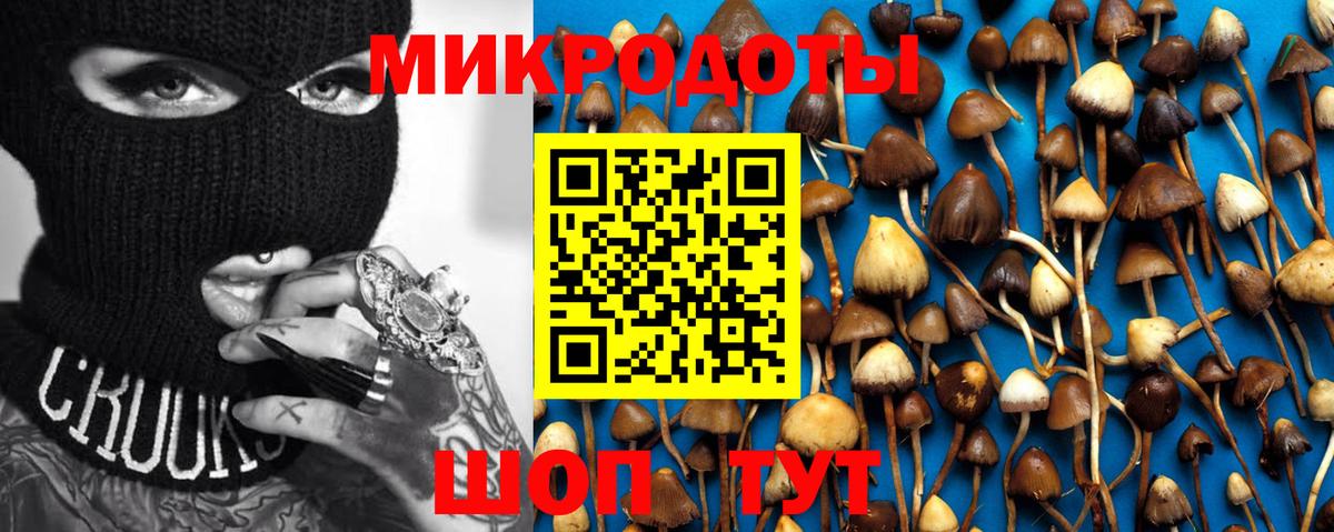 Псилоцибиновые грибы MAGIC MUSHROOMS Шатура